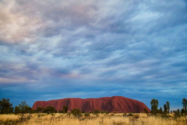 Ayers Rock To Kings Canyon Luxury Bus Transfers - Good To Know