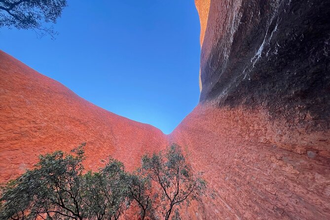 Ayers Rock Uluru Private Tour - Common Questions