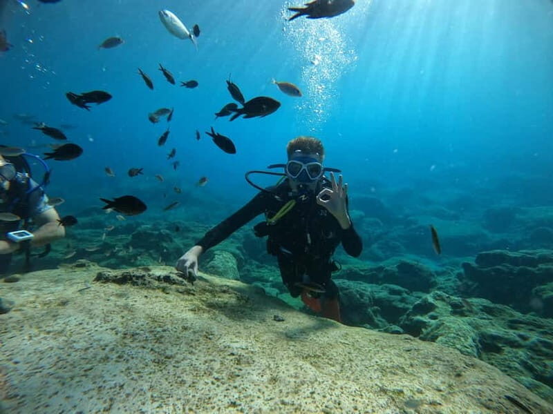 Ayia Napa: Beginners Discover Scuba Diving Experience - Practical Details: From Booking to the Dive