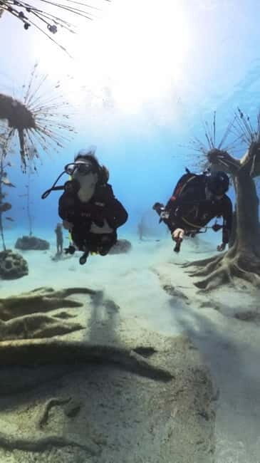 Ayia Napa: Musan Underwater Museum Scuba Dive with Transfer - Good To Know