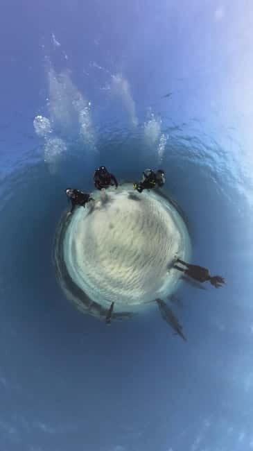 Ayia Napa: Musan Underwater Museum Scuba Dive with Transfer - Why We Love This Tour