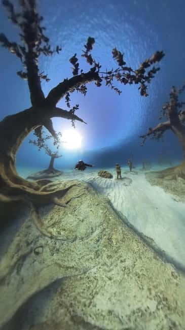 Ayia Napa: Musan Underwater Museum Scuba Dive with Transfer - Detailed Breakdown: Why This Tour Delivers Great Value