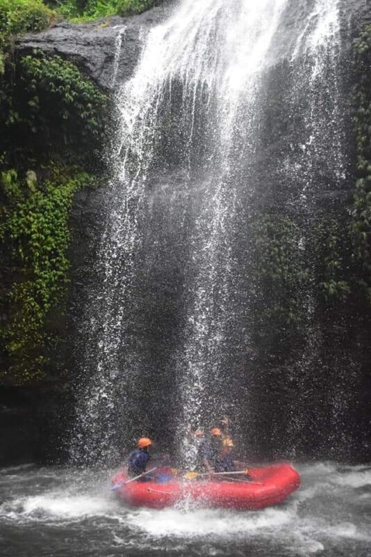 Ayung or Telaga Waja River Rafting in Bali - Ayung or Telaga Waja: choose your river