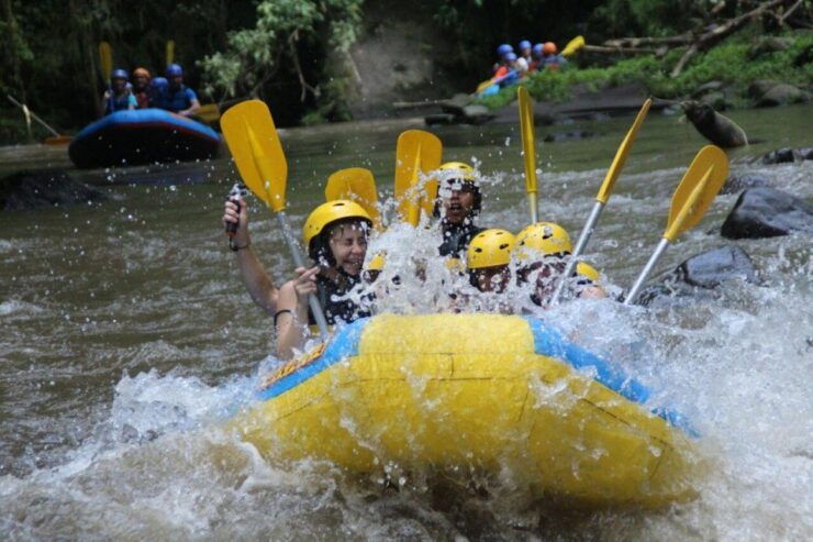 Ayung Rafting and ATV Ride Adventure - Adventure Highlights