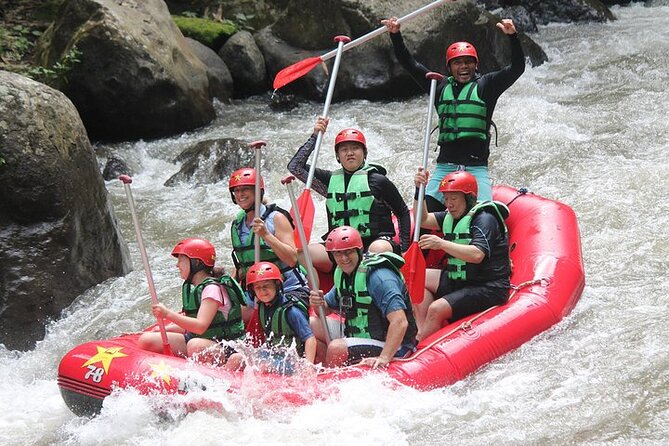 Ayung Rafting and Combination Ubud Tour Packages - Package Overview