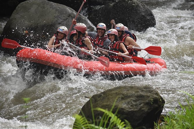 Ayung Rafting Ubud (Include Lunch & Return Transportation) - Pricing and Booking Details