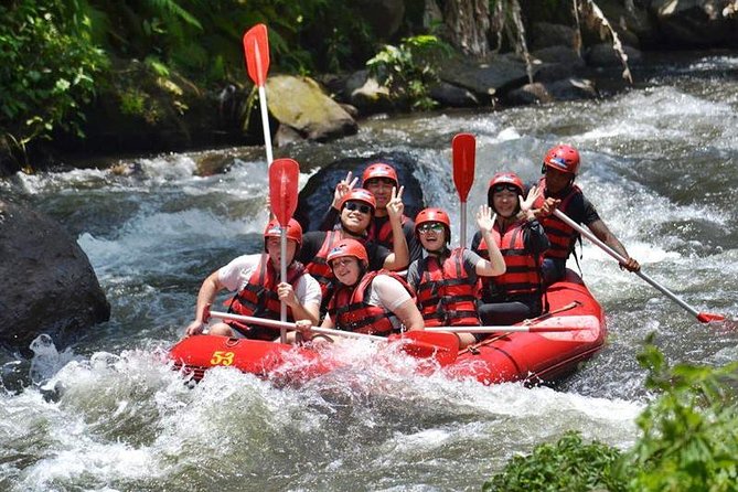 Ayung River Half-Day White Water Rafting Bali in Ubud - Pricing and Booking Details