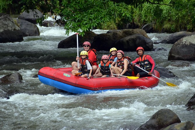 Ayung River Rafting Adventure With Lunch - Experience Highlights
