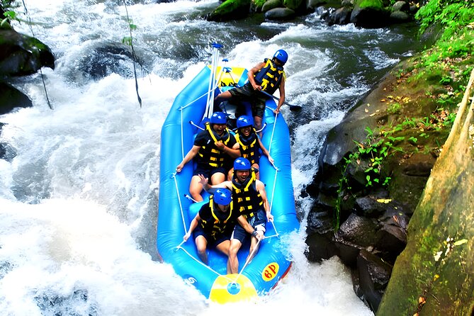 Ayung River Rafting and Ubud Waterfall Tour - River Rafting Experience