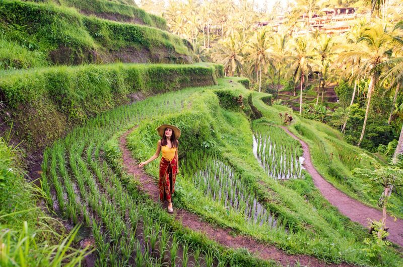 Ayung River Rafting in Bali with No Step-Up Access & Optional Tour - Lunch, showers and the small practical comforts