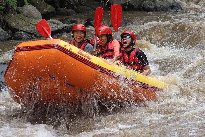 Ayung River - White Water Rafting Bali - Pricing and Booking