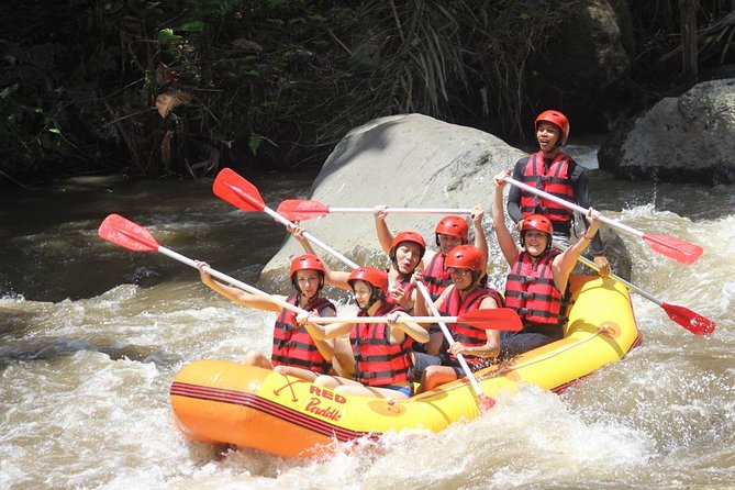 Ayung River - White Water Rafting Bali - Experience Details