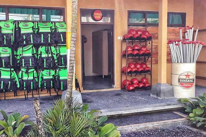 Ayung River White-Water Rafting With Lunch and Water - Ubud - Overview of Ayung River White-Water Rafting