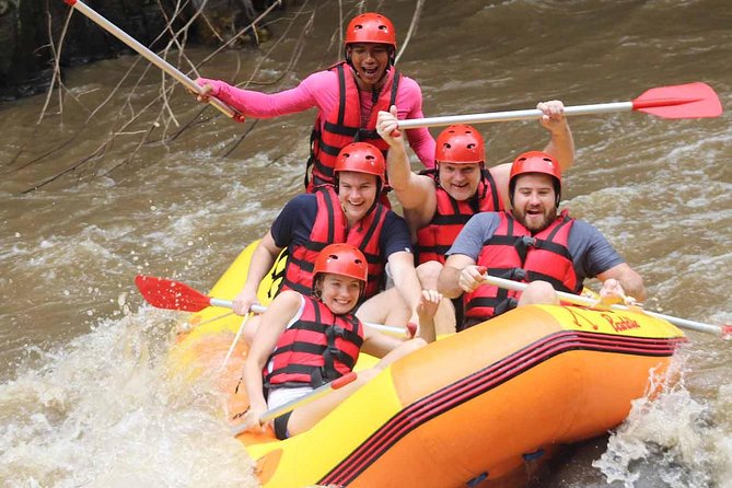 Ayung River Whitewater Rafting and Ubud Arts Village Tour - Pricing and Booking Details