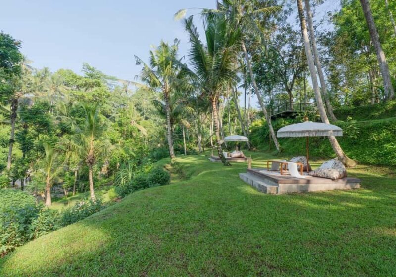 Ayung Riverside Picnic Lunch - Who Will Love This Experience?