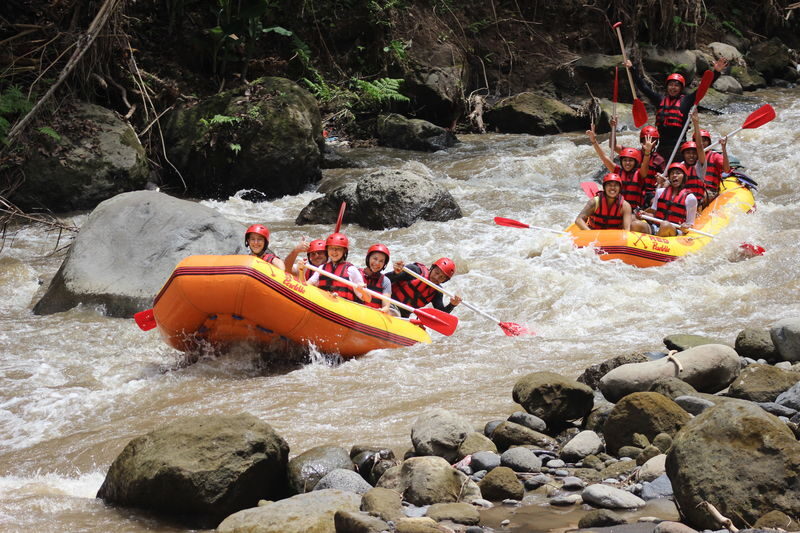 Ayung White Water Rafting - From the Kedewatan meeting point to the river