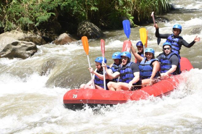 Ayung White Water Rafting - Recommendations and Requirements