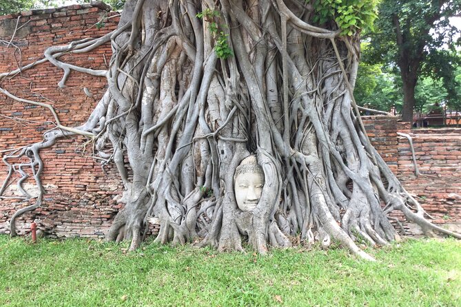 Ayuthaya Must Visit Temples Tour From Bangkok by Myproguide - Traveler Photos and Reviews