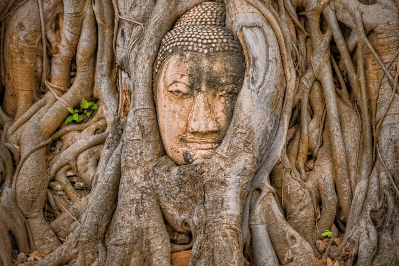Ayutthaya & Bang Pa-In Palace Full-Day Historical Experience - The guide can shape the whole day