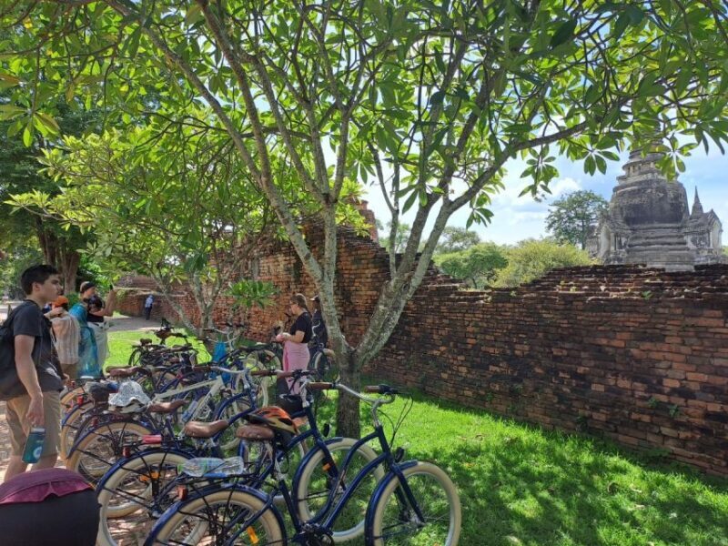 Ayutthaya City and Historical Park Bike Tour - Who Will Love This Tour?