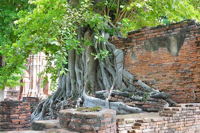 Ayutthaya Evening Tour With Dinner - Booking and Important Information