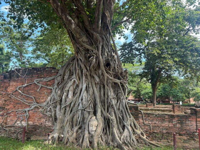 Ayutthaya Full-Day Tour With Bang Pa in (Summer Palace) - Frequently Asked Questions