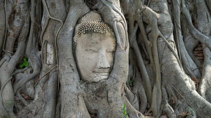 Ayutthaya Heritage Day Tour with Boats & Tuk-Tuks experience - Exploring Wat Mahathat: The Iconic Buddha Head