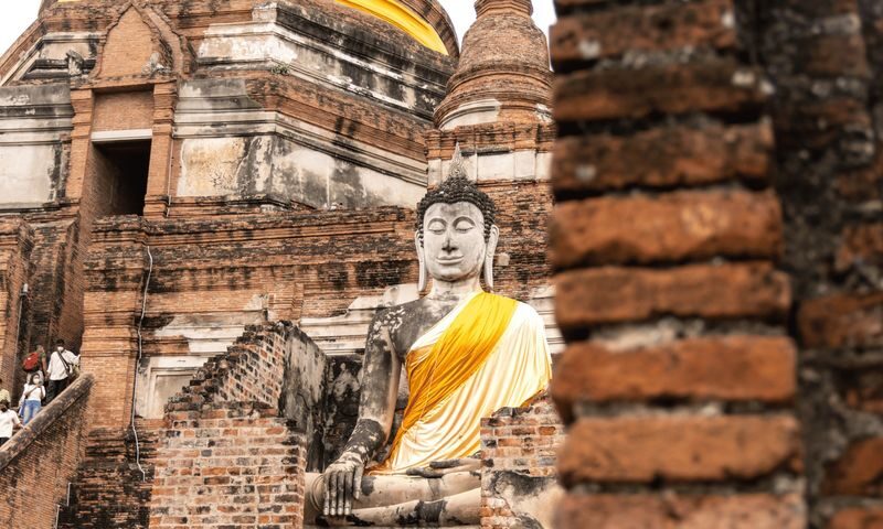Ayutthaya Heritage Half-Day Tour + Elephant Cafe Stop (JP Guide) - A very early start, with a useful return point