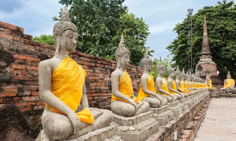 Ayutthaya Heritage Half-Day Tour + Elephant Cafe Stop (JP Guide) - What the price covers, and what it does not
