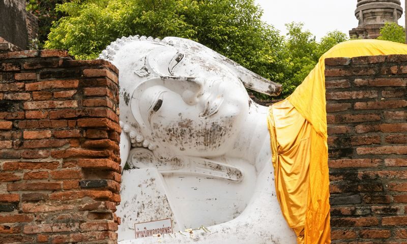 Ayutthaya Heritage Half-Day Tour + Elephant Cafe Stop (JP Guide) - What to bring and how to dress