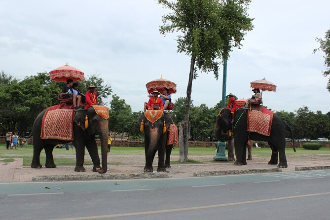 Ayutthaya Historic Park Tour Group Tour From Bangkok - Terms and Conditions