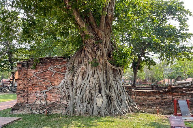 Ayutthaya Historical Old Capital Tour From Bangkok - Meeting and Pickup Details