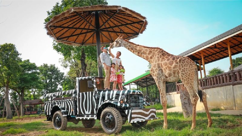Ayutthaya Must-Visit Tour: Summer Palace, Floating Market & Temples - What the guide and vehicle add