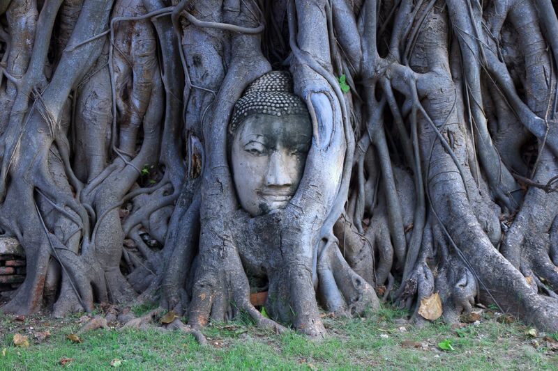 Ayutthaya Must-Visit Tour: Summer Palace, Temples Full Day - Transport, timing and what to pack