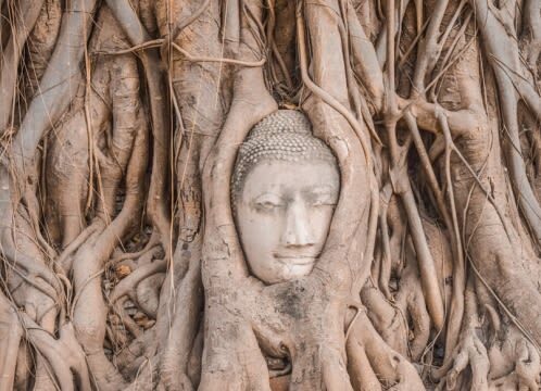 Ayutthaya Ruins, Pink Ganesha, Wat Pak Nam Tour by Pandaba - Ayutthaya’s Buddha head and royal temple