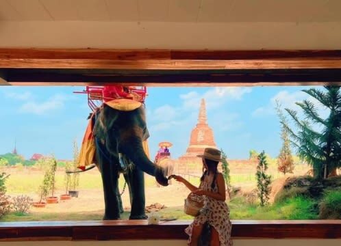 Ayutthaya Ruins, Pink Ganesha, Wat Pak Nam Tour by Pandaba - Jodd Fairs after a long day
