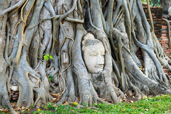 Ayutthaya Summer Palace and Temples Day Tour from Bangkok - Things to Keep in Mind