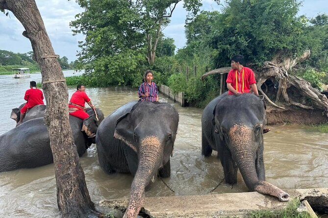 Ayutthaya Temples One Day Tour from Bangkok with Sunset Boat - Who Should Consider This Tour?
