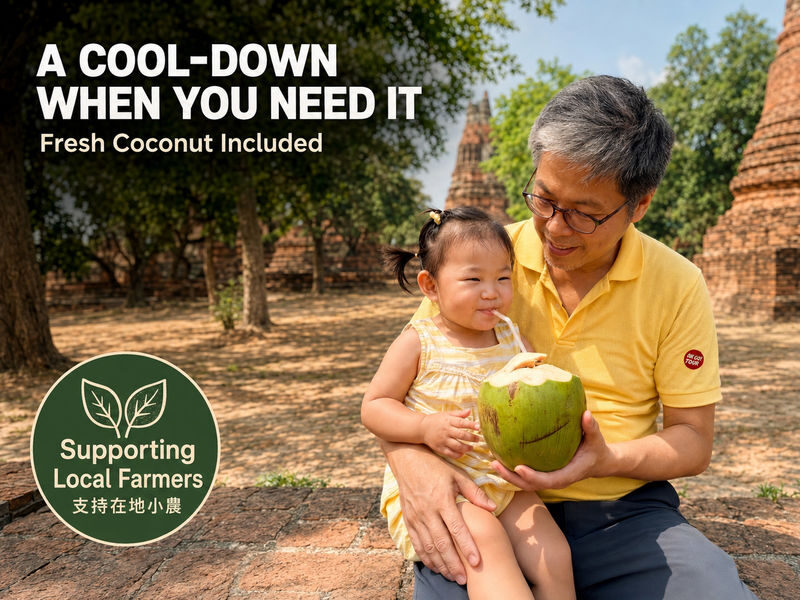 Ayutthaya Wat Mahathat & Floating Market Day Tour - The price and what it buys you