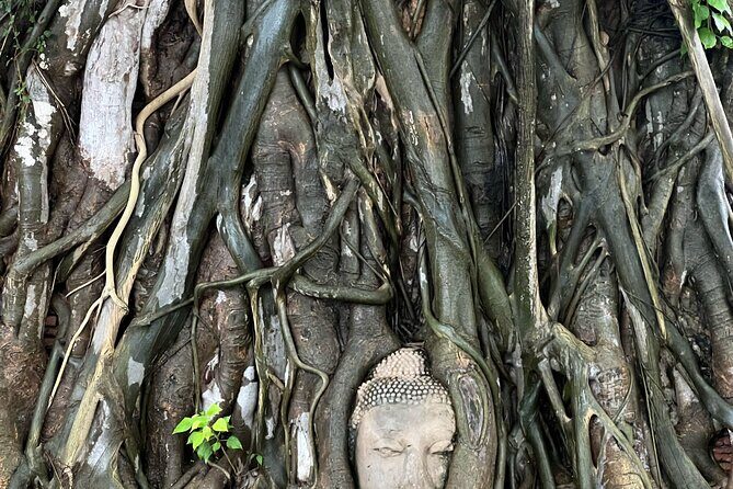 Ayutthayas Hidden Gems: Small Group Tour with Car & Local Guide - A Closer Look at the Experience