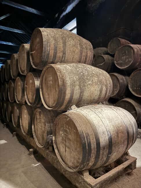 Azeitão: Great visit to wineries, farms, palace, and wine tasting. - Authenticity and Unique Touches