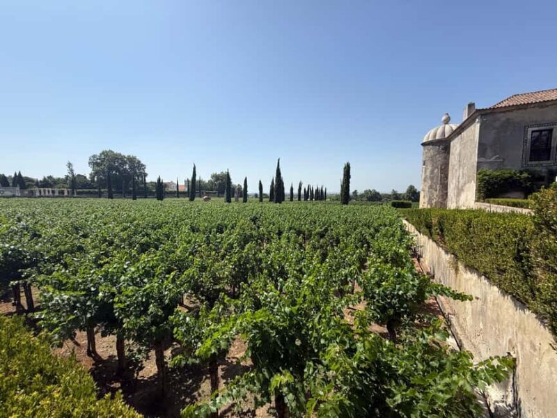 Azeitão: Great visit to wineries, farms, palace, and wine tasting. - FAQ