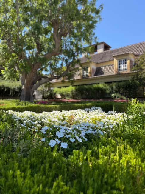 Azeitão: Horseback Riding, Tasting, Farms, and Cristo Rei - Analyzing the Value for Money