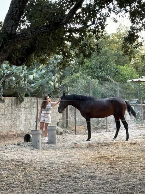 Azeitão: Horseback Riding, Tasting, Farms, and Cristo Rei - Who Would Love This Tour?