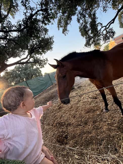 Azeitão: Horseback Riding, Tasting, Farms, and Cristo Rei - FAQ