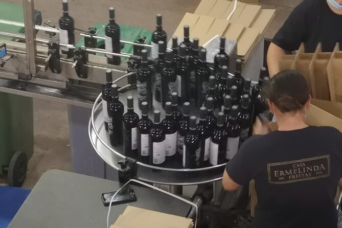 Azeitao Lisbon Wine Experience With Two Wine Estate Visits - Glazed Tile Factory