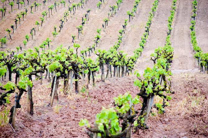 Azeitao Lisbon Wine Experience With Two Wine Estate Visits - Galapinhos Beach Discovery