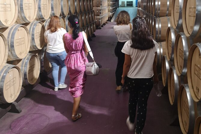 Azeitao Lisbon Wine Experience With Two Wine Estate Visits - Cancellation Policy and Traveler Reviews