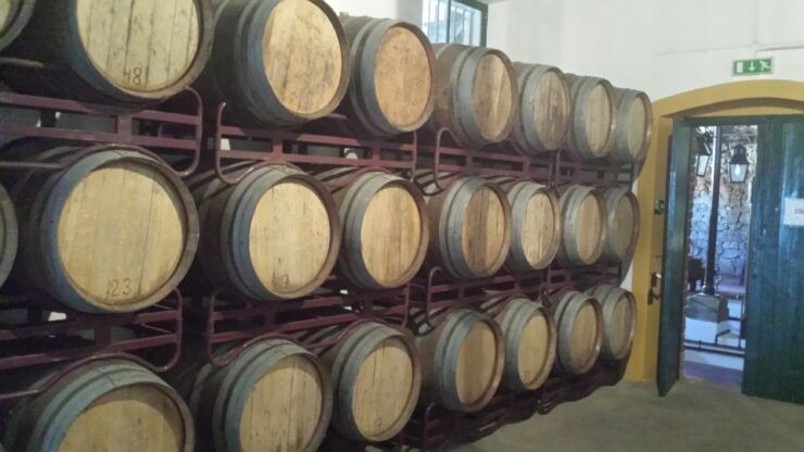 Azeitão: Private Full-Day Wine Experience From Lisbon - Activity Details