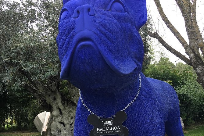 Azeitão Private Tour - Half Day - Tour Highlights